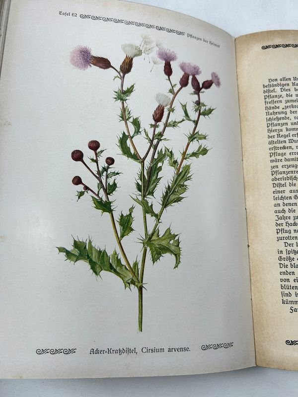 Libros de Botánica: Curso General Aplicado y Flora de la Patria - imagen 4