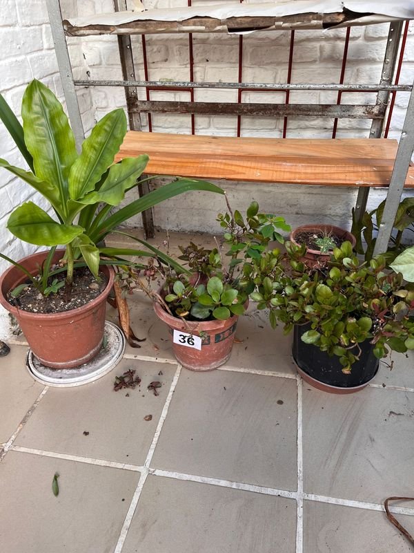 Item 921729 - Image 0