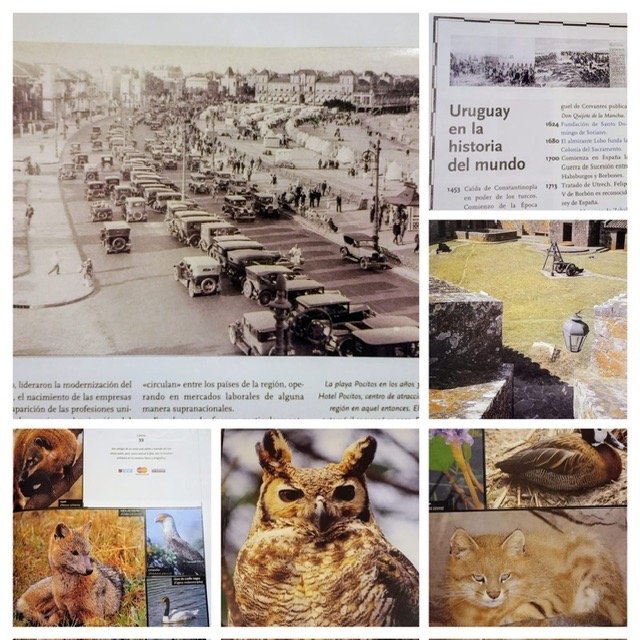 Item 27574 - Image 2