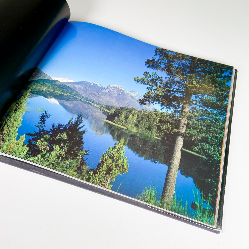 Item 492636 - Image 3