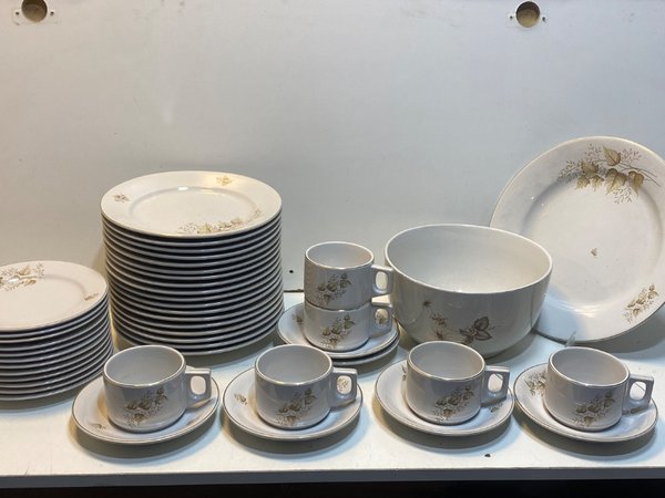 Lote Vajilla Porcelana OLMOS Hojas Doradas: Platos, Tazas y Fuentes - imagen 1