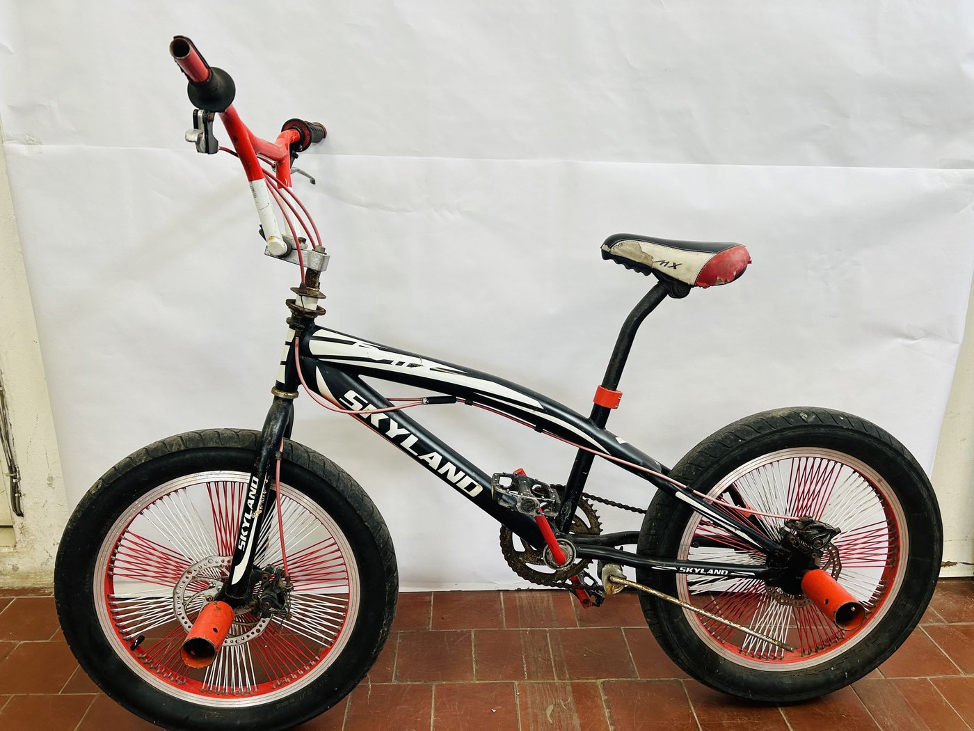 Bicicleta Skyland Rodado 20 con Detalles