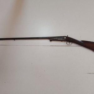 Antigua Escopeta de Avancarga Siglo XIX con Culata de Madera - imagen 2