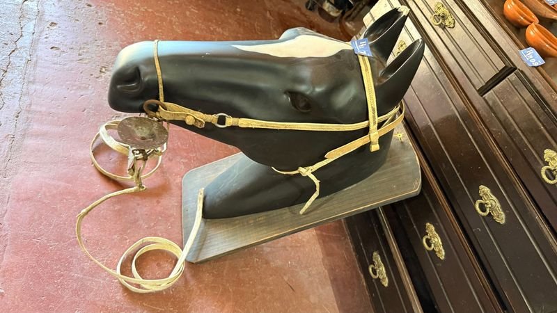 Caballo de Cabeza con Freno y Riendas - imagen 8