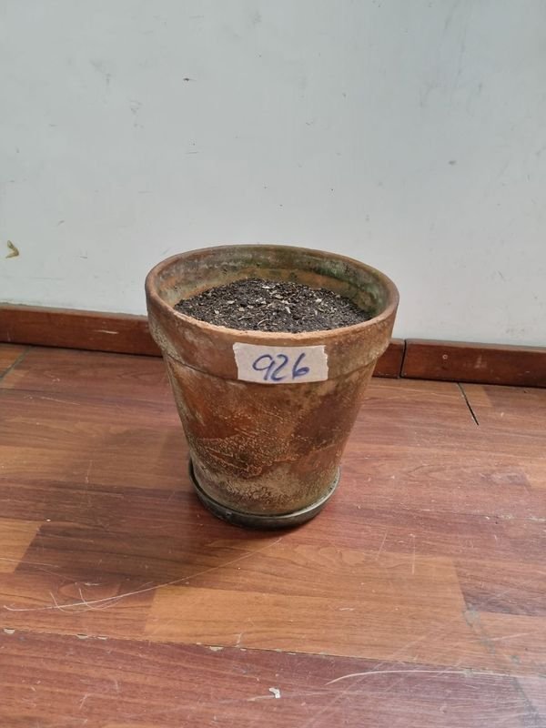 Maceta de barro deteriorada - imagen 4
