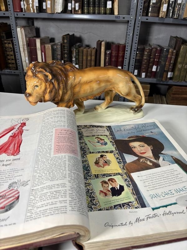 Encuadernaciones de la Revista Damas de la Casa de 1946 en Inglés - imagen 5