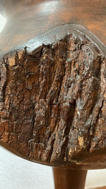 Pieza de madera petrificada rara - imagen 4