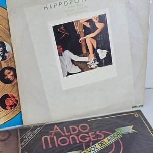 Selección de Vinilos de Música Variada - imagen 3