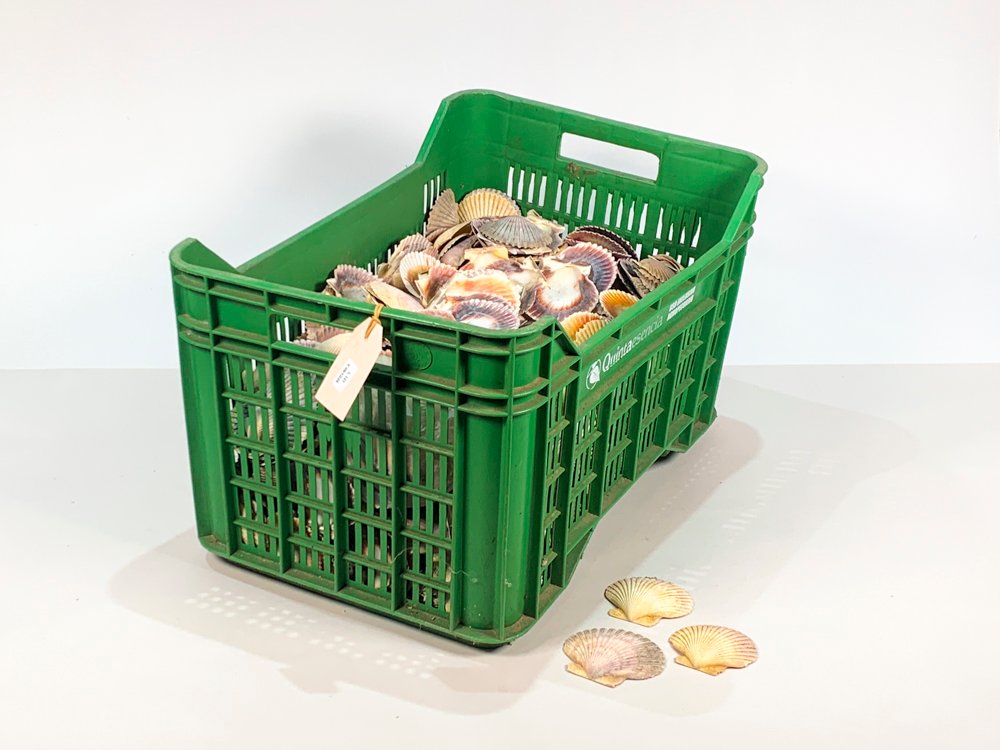 Item 486814 - Image 1