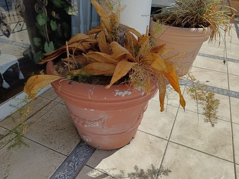 Item 841932 - Image 0