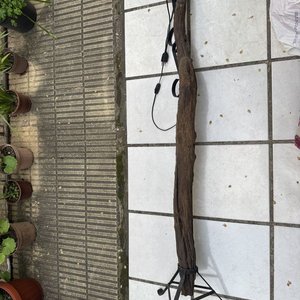 Lámpara de Pie Artesanal con Tronco y Hierro - imagen 7