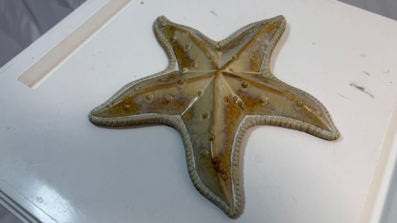 Porcelana Estrellada con Star y Starfish - imagen 3