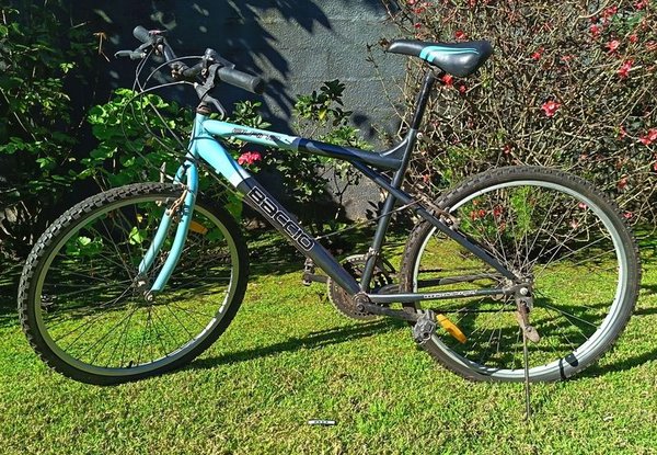Bicicleta Baccio Alpin Man mountain bike rodado 26