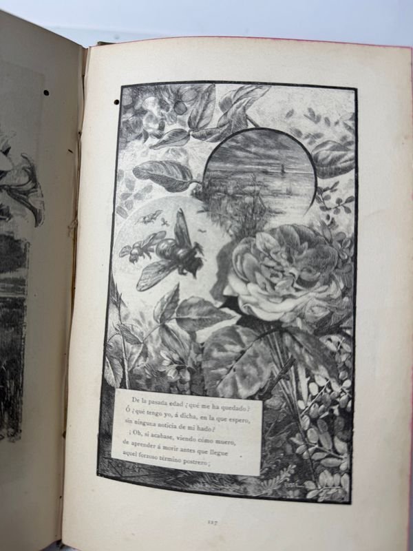 Libro raro de arte y letras, Barcelona Biblioteca Arte y Letras, 1883 - imagen 7