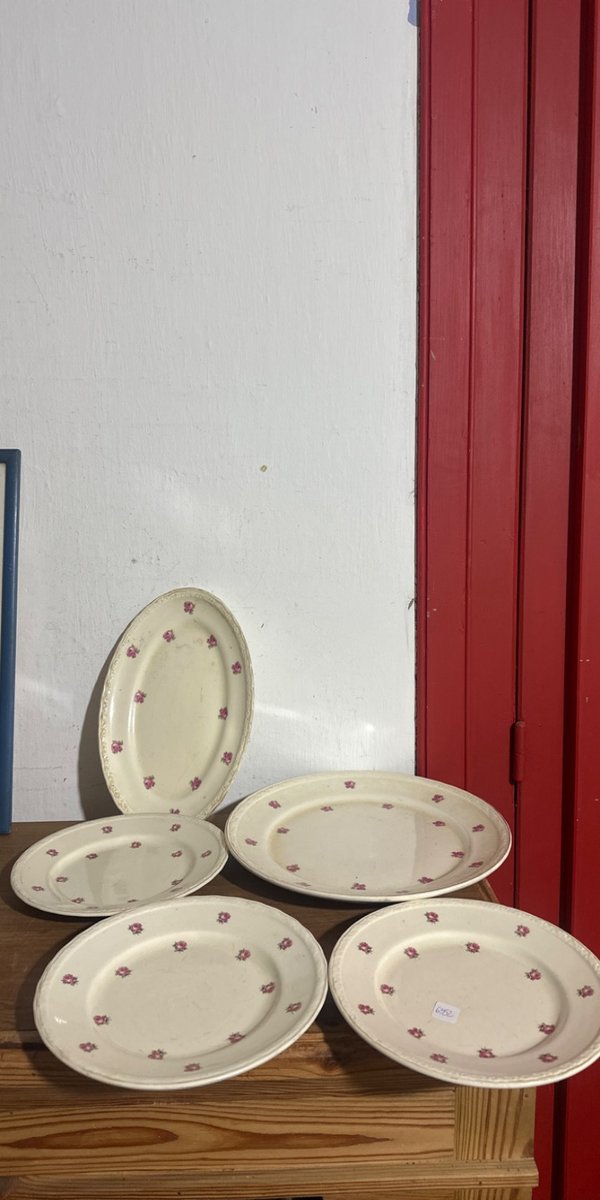 Juego de 5 Platos Ovalados con Diseño Floral