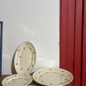 Lote anterior: Juego de 5 Platos Ovalados con Diseño Floral