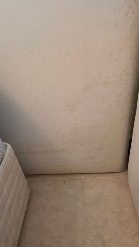 Item 912335 - Image 3