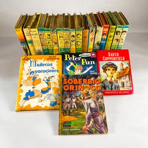 Lote de Libros de Cuentos y Novelas Clásicas - imagen 1