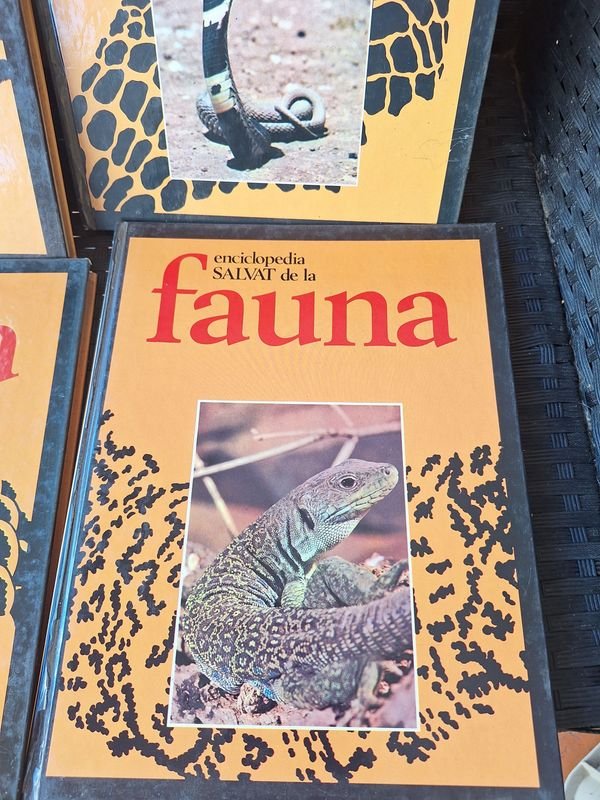 Item 879823 - Image 1