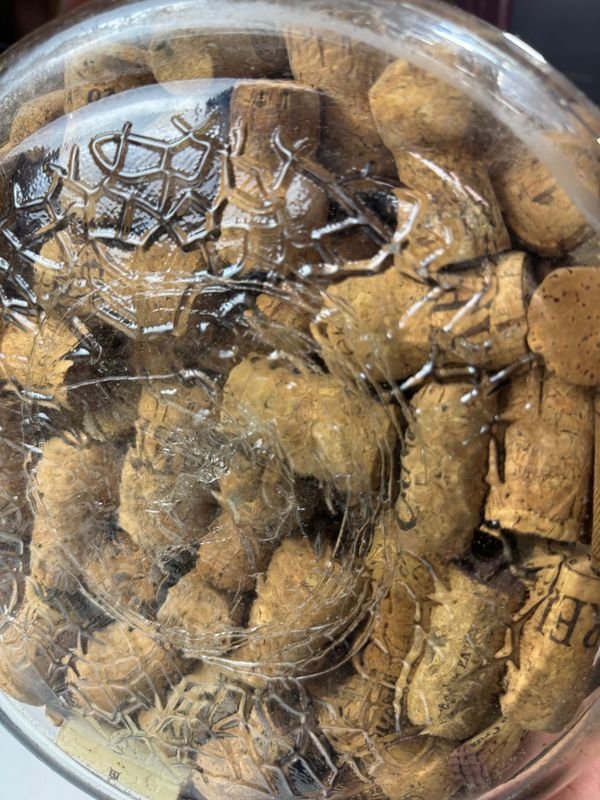 Gran damajuana repleta de corchos - imagen 9