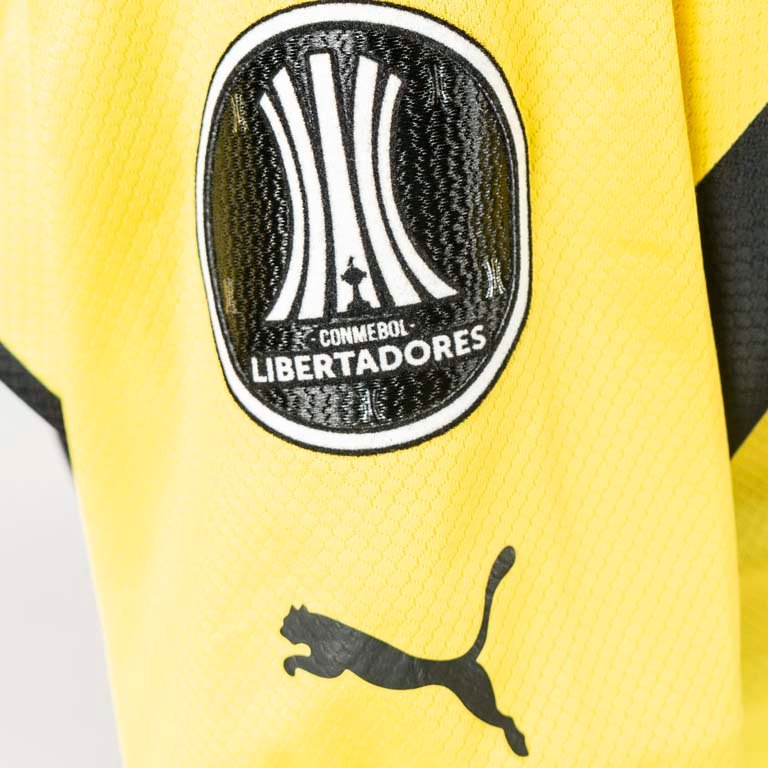 Item 2118688 - Image 2