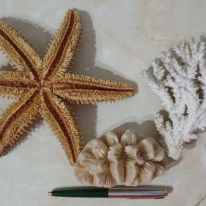 ¡Descubre la sorpresa! Monedas de Plata, Vintage y juguetes raros en una sola subasta!