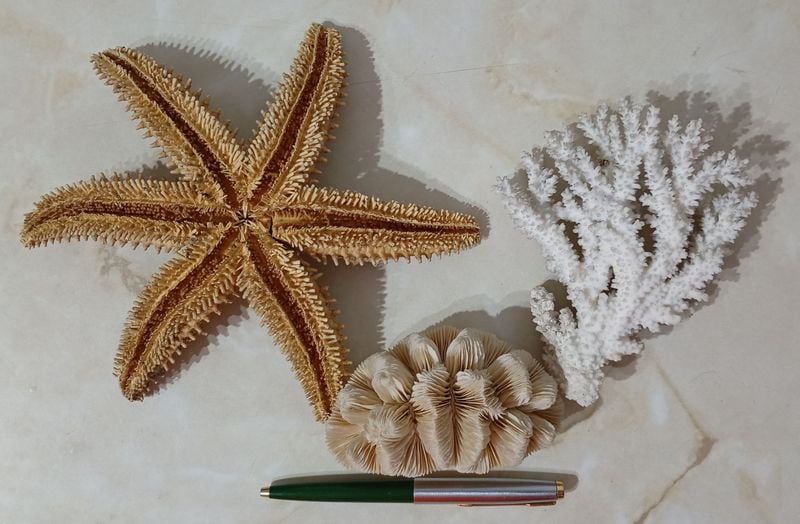 ¡Descubre la sorpresa! Monedas de Plata, Vintage y juguetes raros en una sola subasta!