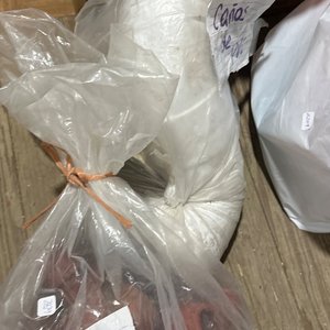 Lote anterior: Lote de Caños y Codos de PVC