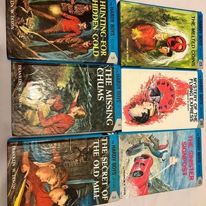 Lote anterior: Lote de 6 Libros Juveniles de Misterio: The Hardy Boys