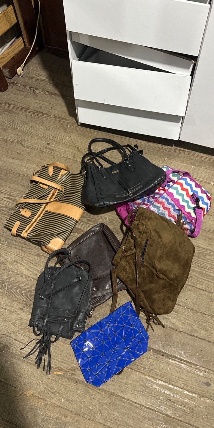 Lote de Carteras y Bolsos de Moda