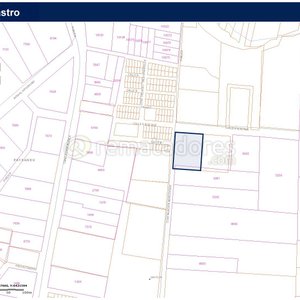Plano Catastral y Documentación de Propiedad Rural en Paysandú - imagen 1