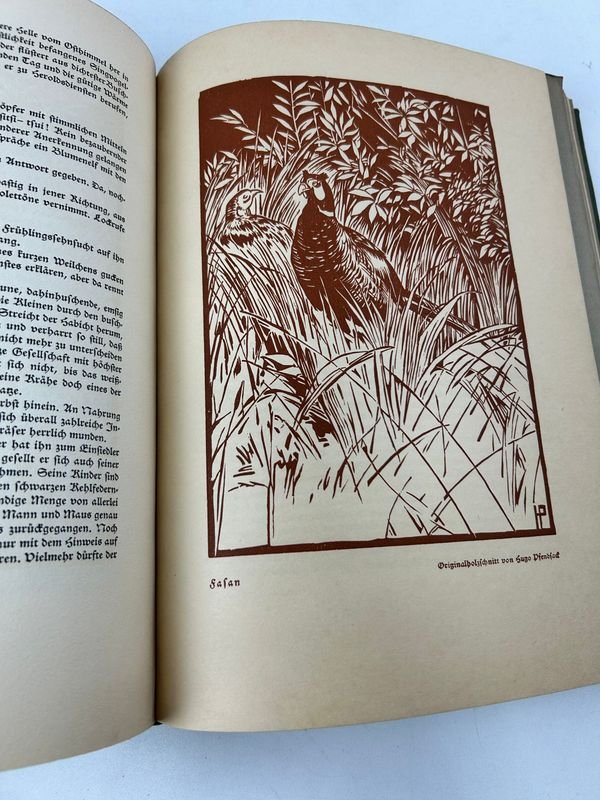 Libro sobre naturaleza y vida silvestre, Bosque y pradera, de Paul von Tschudi - imagen 5