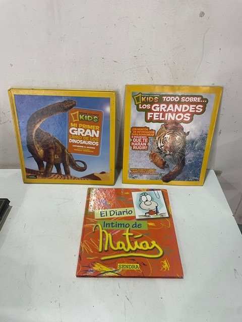 Lote siguiente: Libros para Niños en Español