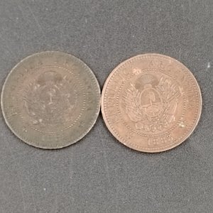 Argentina: Lote de 2 Monedas de 1 Centavo (1883 y 1884) en Bronce - imagen 4