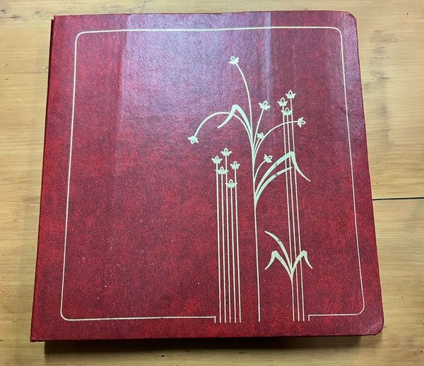 Álbum Antiguo con Colección de Billetes Internacionales