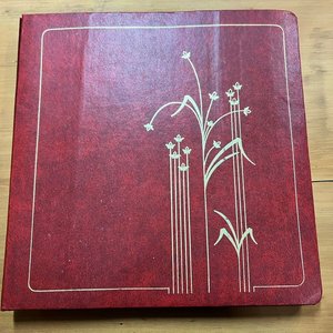 Lote siguiente: Álbum Antiguo con Colección de Billetes Internacionales