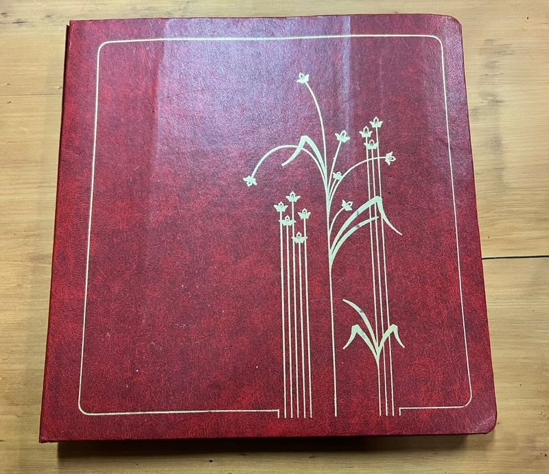 Álbum Antiguo con Colección de Billetes Internacionales