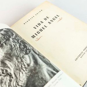Lote de 2 Libros: Vida de Miguel Ángel y Historia de América - imagen 2