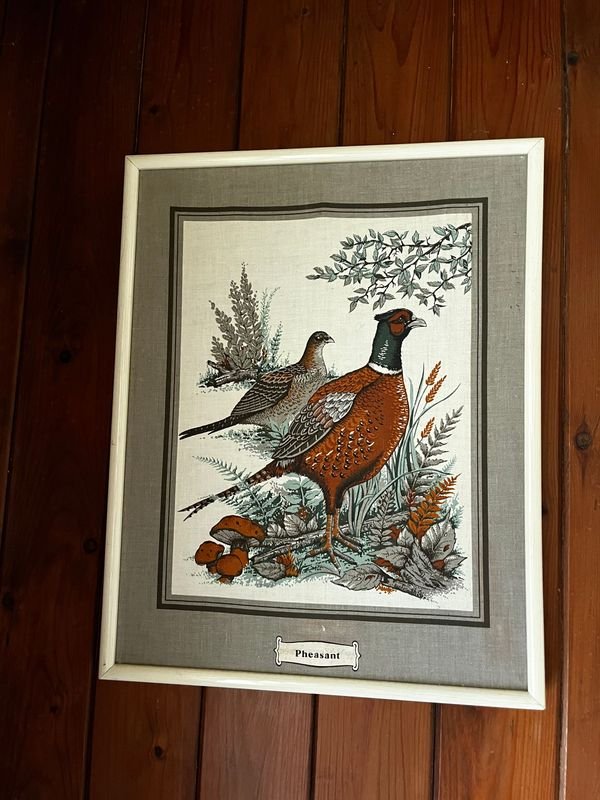 Colección de cuadritos decoración estilo aves - imagen 3