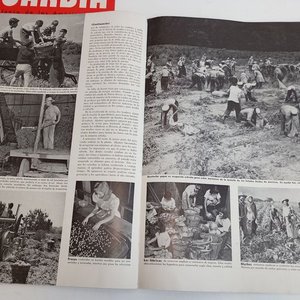 Lote de 5 Revistas "En Guardia" - Para la Defensa de las Américas - imagen 10