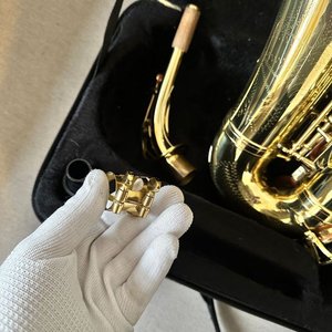 Saxofón Alabama Dorado con Estuche - imagen 13