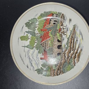 Lote de 5 Platos Decorativos Orientales y Brasileros - imagen 7