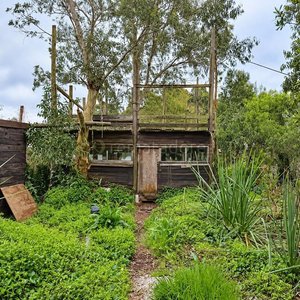 Lote anterior: Cabaña de Madera Rústica en Entorno Natural
