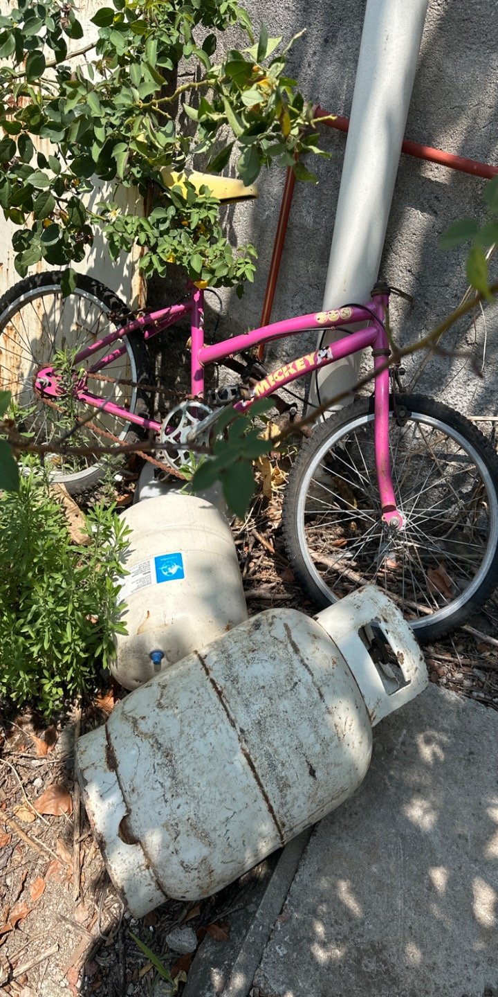 Item 62771 - Image 0