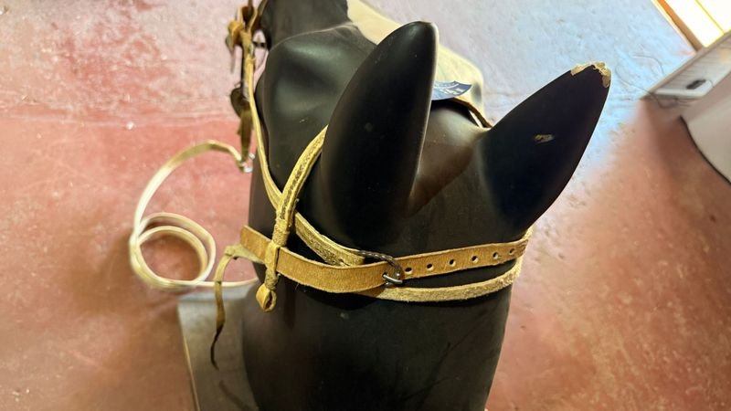 Caballo de Cabeza con Freno y Riendas - imagen 4