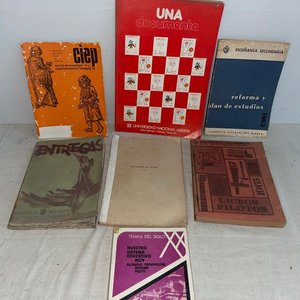 Lote de Libros de Estudio y Didácticos - imagen 1