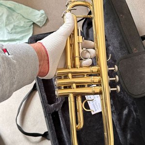 Trompeta Windsor Dorada con Estuche - imagen 6