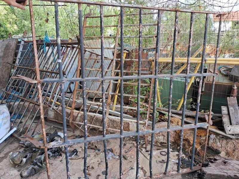 Item 896331 - Image 0