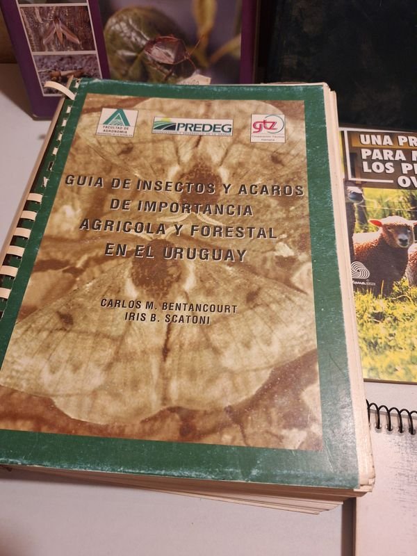 Item 870072 - Image 2