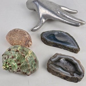 Lote siguiente: Lote de Piedras Naturales y Caracolas Marinas para Decoración